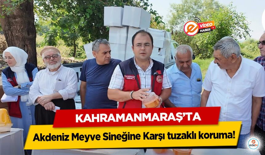 Kahramanmaraş'ta Akdeniz Meyve Sineğine Karşı tuzaklı koruma!