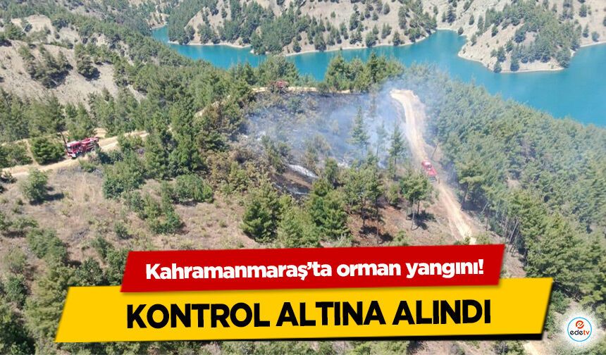 Kahramanmaraş’ta orman yangını!