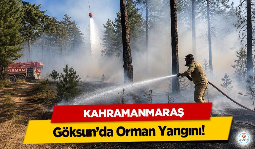 Göksun’da Orman Yangını!