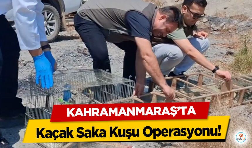 Kahramanmaraş’ta Kaçak Saka Kuşu Operasyonu!