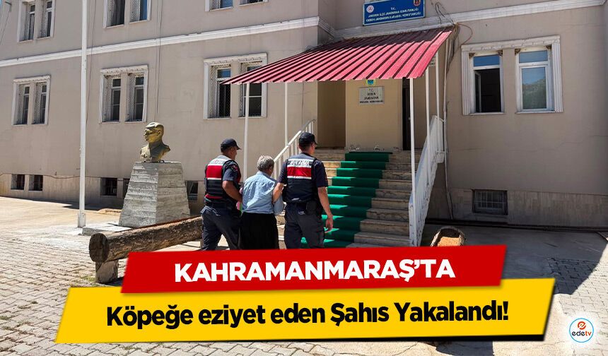 Kahramanmaraş’ta Köpeğe eziyet eden Şahıs Yakalandı!