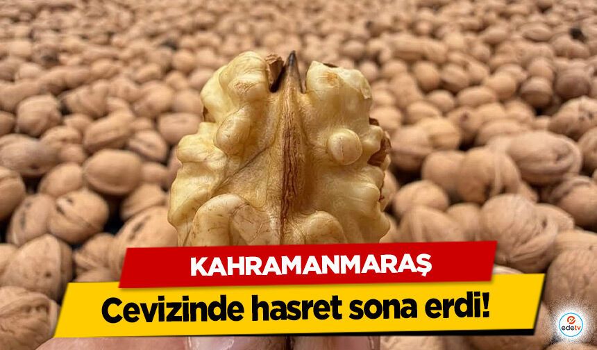 Kahramanmaraş cevizinde hasret sona erdi!
