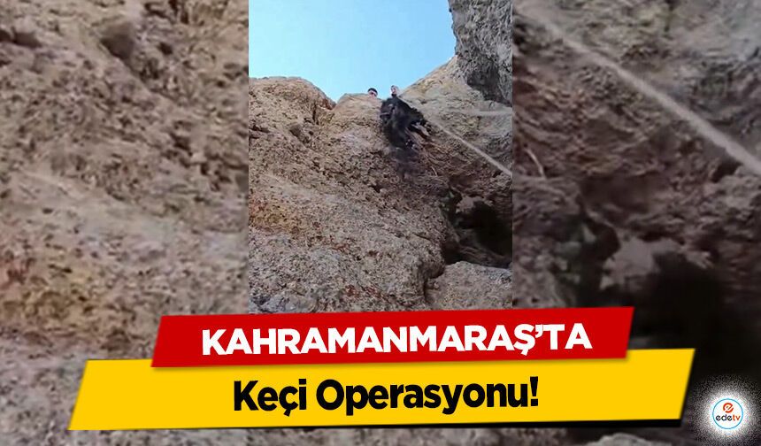 Kahramanmaraş’ta keçi operasyonu!