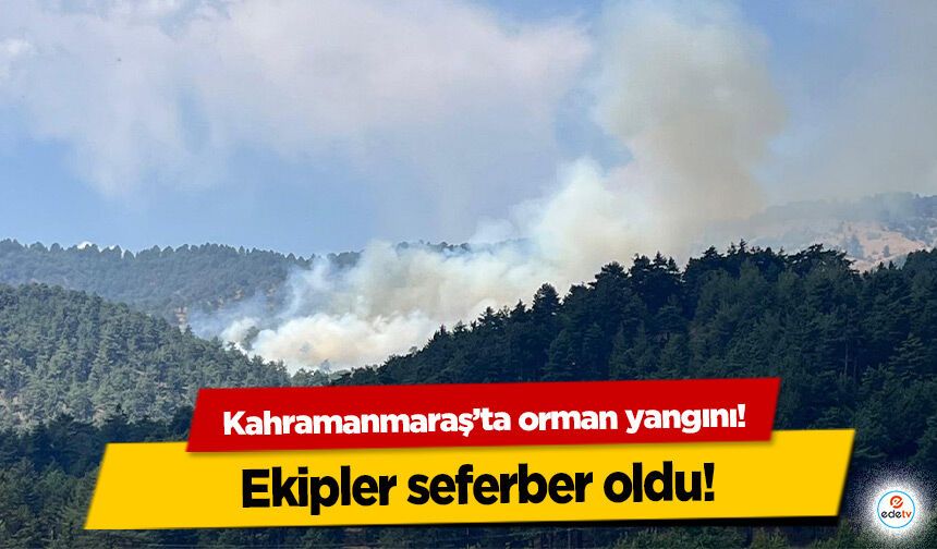 Kahramanmaraş’ta orman yangını!