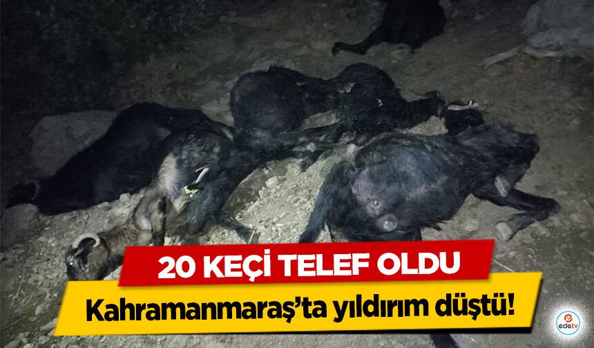 Kahramanmaraş’ta yıldırım düştü! 20 Keçi Telef Oldu