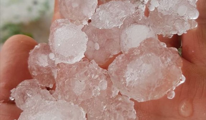 Mersin'de sebze ve meyve bahçelerini dolu vurdu