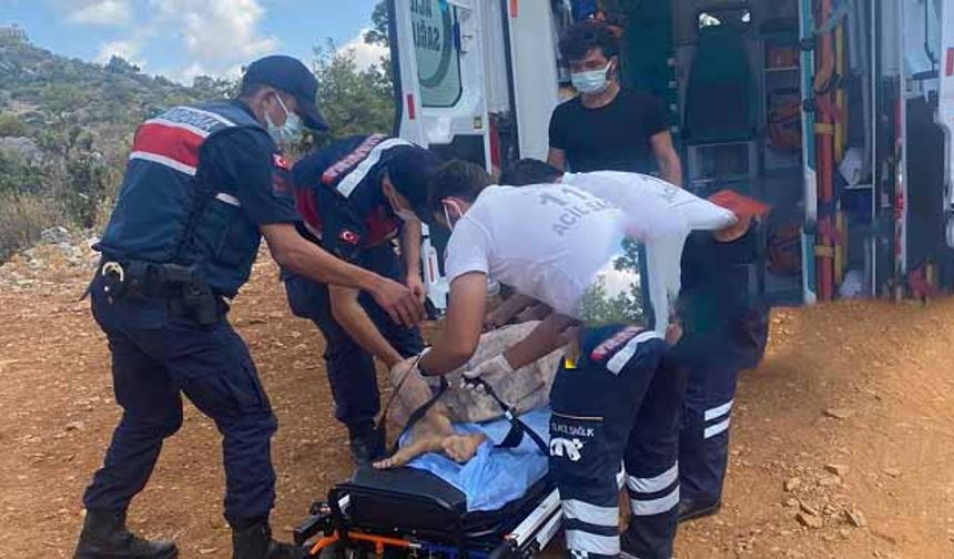 Mersin’de kayıp kişi 2 gün sonra bulundu