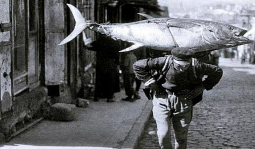 Balıkçılar  15 Eylül'de "vira bismillah" demek için hazırlıklarını tamamladı.