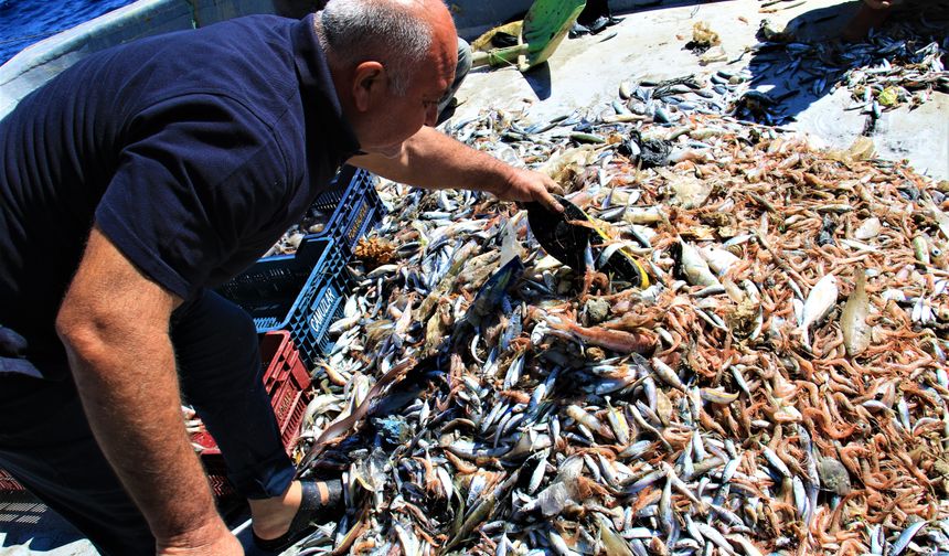 Akdeniz’de balıktan çok çöp çıkıyor