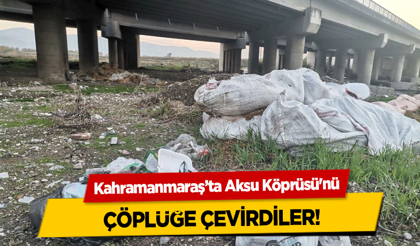 Kahramanmaraş’ta Aksu Köprüsü'nü çöplüğe çevirdiler!