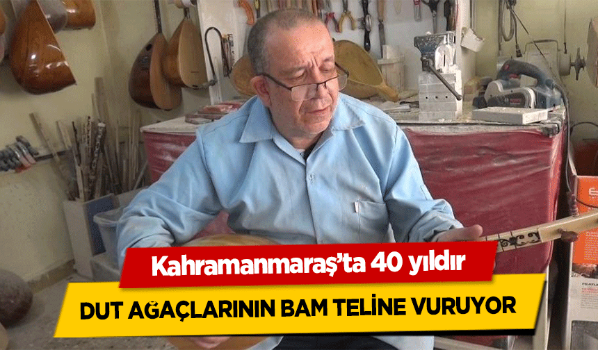 Kahramanmaraş’ta 40 yıldır dut ağaçlarının bam teline vuruyor