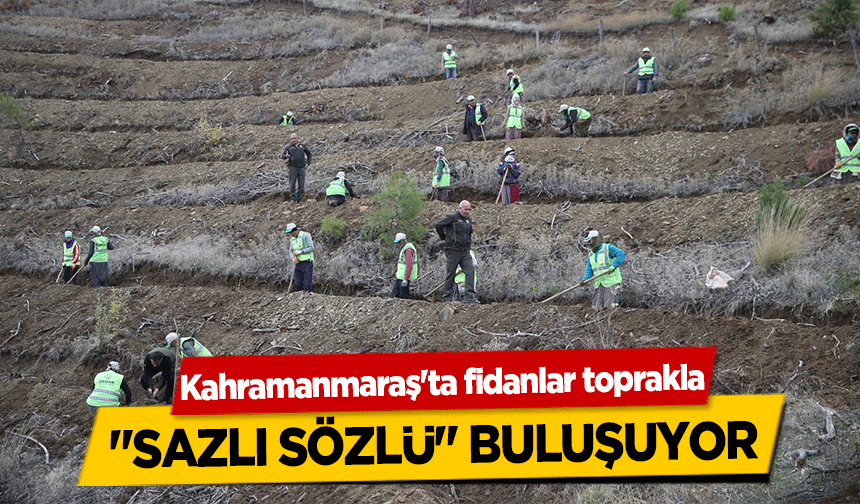 Kahramanmaraş'ta fidanlar toprakla ‘sazlı sözlü’ buluşuyor