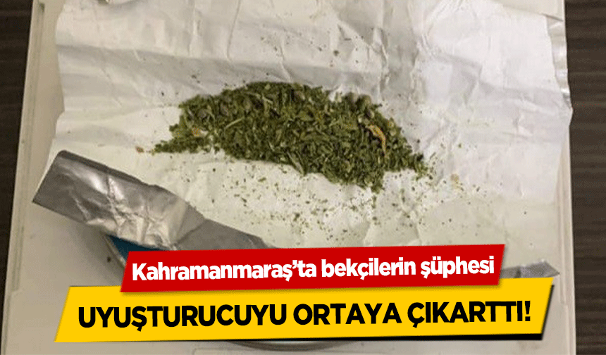 Kahramanmaraş’ta bekçilerin şüphesi uyuşturucuyu ortaya çıkarttı!