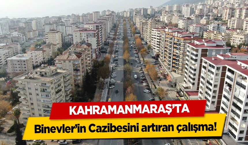 Kahramanmaraş’ta Binevler’in Cazibesini artıran çalışma!