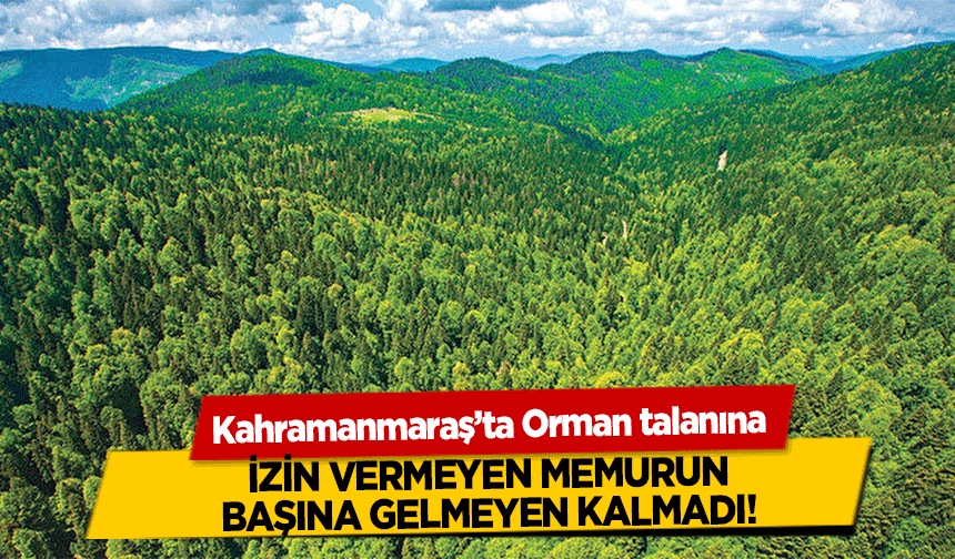 Kahramanmaraş’ta Orman talanına izin vermeyen memurun başına gelmeyen kalmadı!