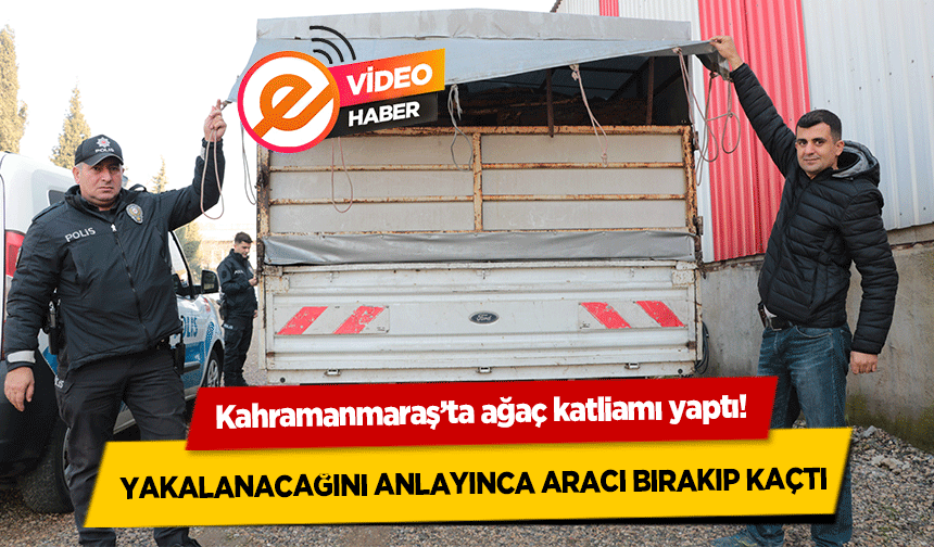 Kahramanmaraş’ta ağaç katliamı yaptı! Yakalanacağını anlayınca aracı bırakıp kaçtı