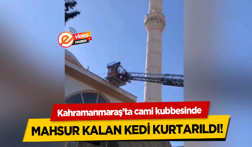 Kahramanmaraş’ta cami kubbesinde mahsur kalan kedi kurtarıldı!