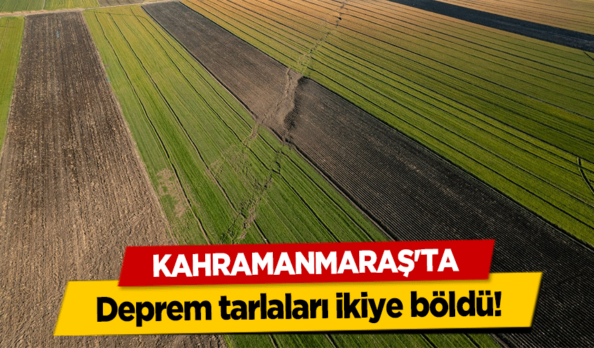 Kahramanmaraş'ta deprem tarlaları ikiye böldü!