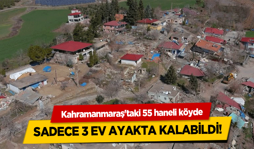 Kahramanmaraş'taki 55 haneli köyde, sadece 3 ev ayakta kalabildi