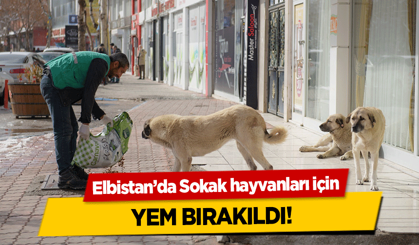 Elbistan’da Sokak hayvanları için yem bırakıldı!