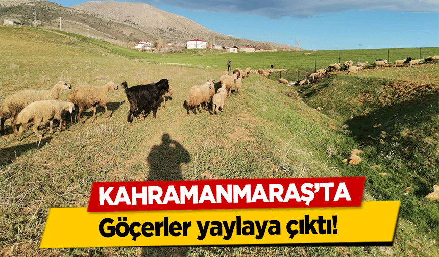 Kahramanmaraş’ta göçerler yaylaya çıktı