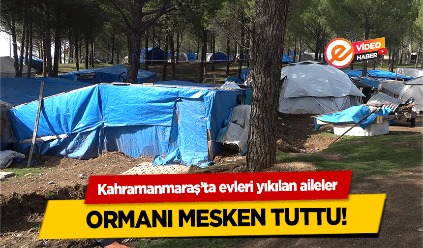 Kahramanmaraş’ta evleri yıkılan aileler ormanı mesken tuttu!