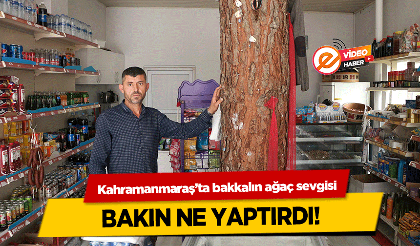 Kahramanmaraş’ta bakkalın ağaç sevgisi bakın ne yaptırdı!