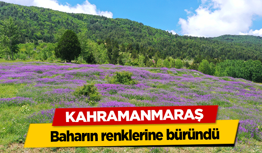 Kahramanmaraş baharın renklerine büründü