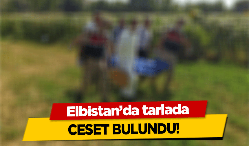 Elbistan’da tarlada ceset bulundu!