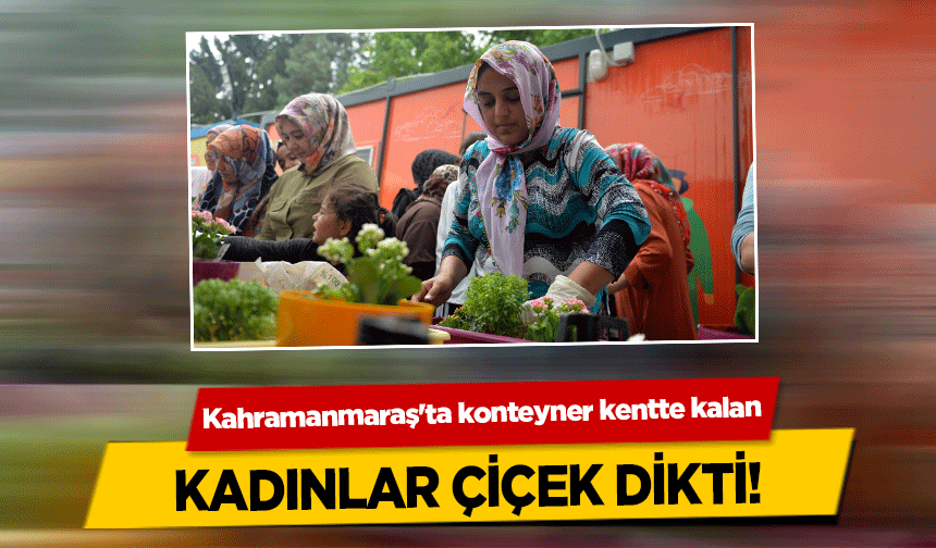 Kahramanmaraş'ta konteyner kentte kalan kadınlar çiçek dikti