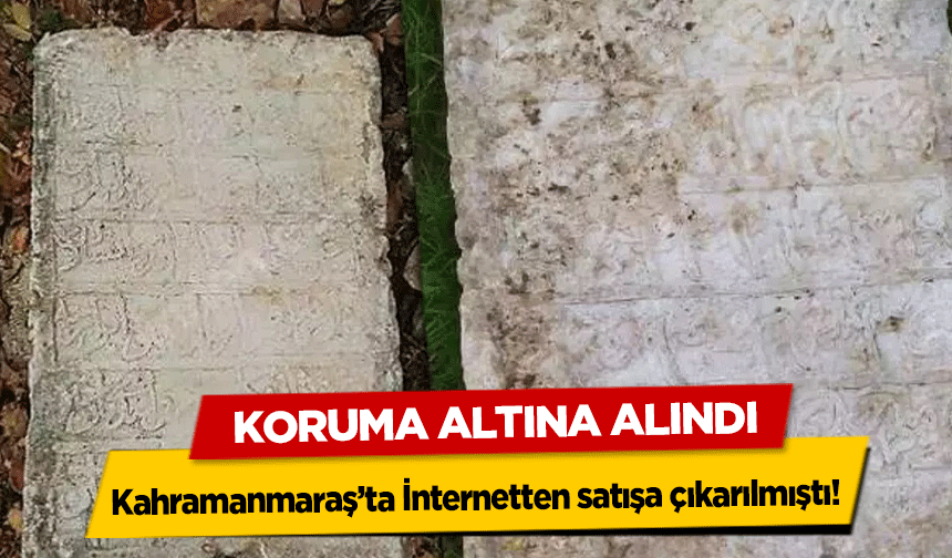 Kahramanmaraş’ta İnternetten satışa çıkarılmıştı! Koruma Altına Alındı