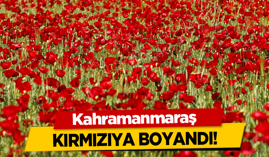 Kahramanmaraş kırmızıya boyandı!