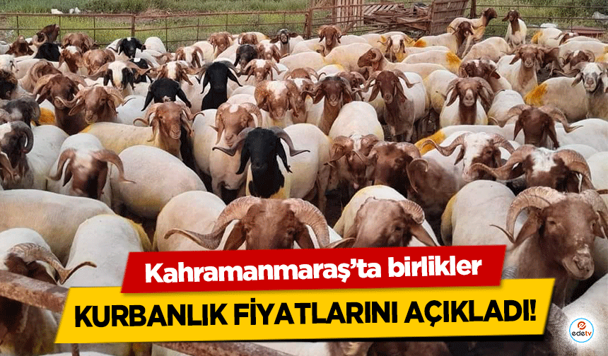 Kahramanmaraş’ta birlikler kurbanlık fiyatlarını açıkladı!