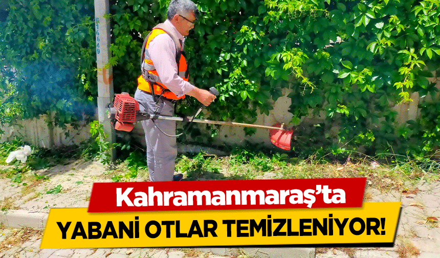 Kahramanmaraş’ta yabani otlar temizleniyor!