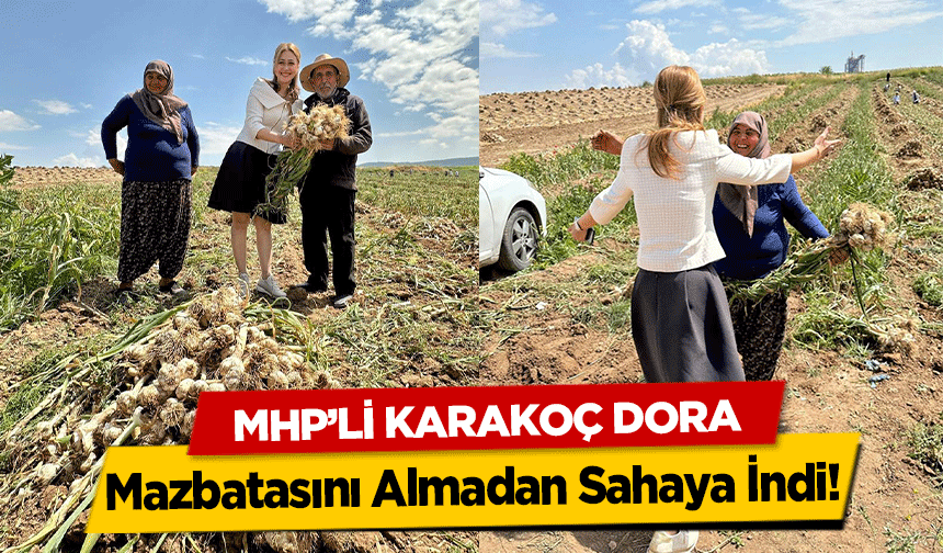 MHP’li Karakoç Dora Mazbatasını Almadan Sahaya İndi