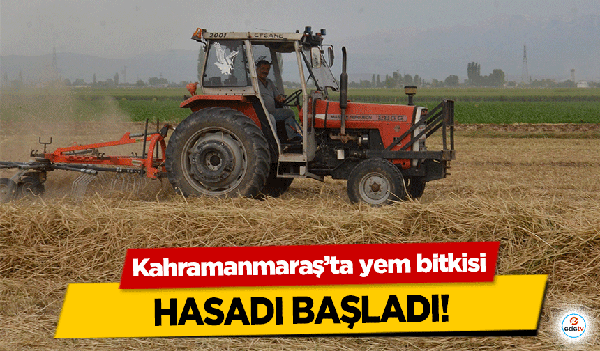 Kahramanmaraş’ta yem bitkisi hasadı başladı!