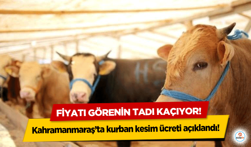 Kahramanmaraş’ta kurban kesim ücreti açıklandı! Fiyatı görenin tadı kaçıyor!