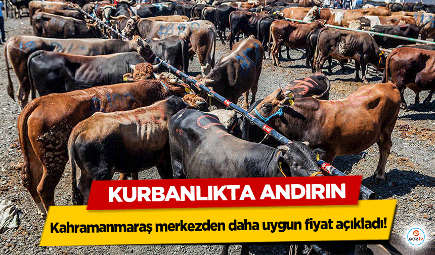 Kurbanlıkta Andırın, Kahramanmaraş merkezden daha uygun fiyat açıkladı!