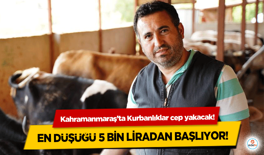 Kahramanmaraş’ta Kurbanlıklar cep yakacak! En düşüğü 5 bin liradan başlıyor!