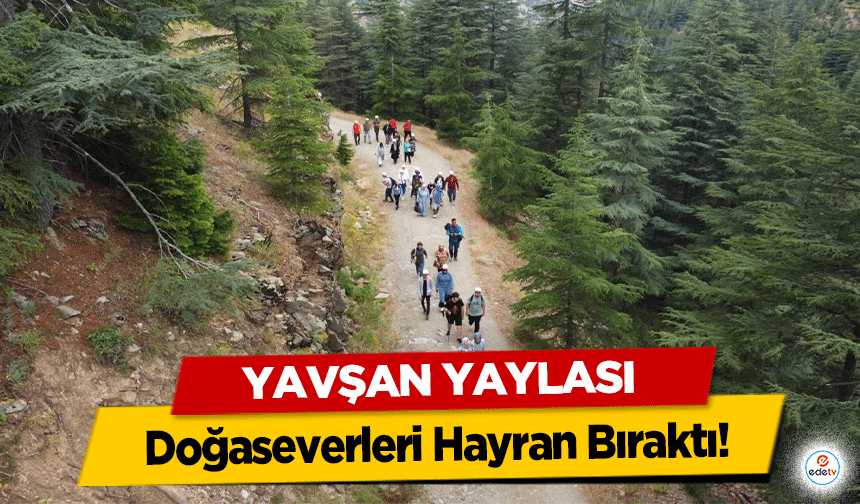 Yavşan Yaylası Doğaseverleri Hayran Bıraktı