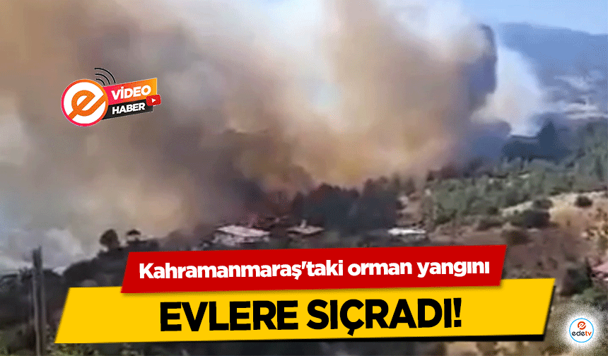 Kahramanmaraş'taki orman yangını evlere sıçradı