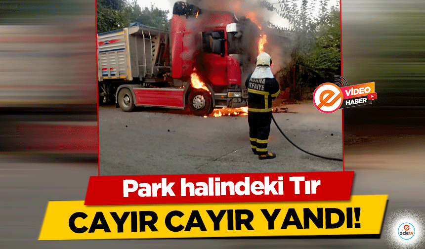 Park halindeki TIR cayır cayır yandı!