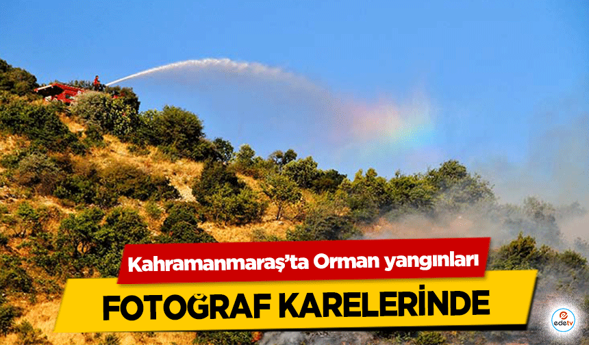 Kahramanmaraş’ta Orman yangınları fotoğraf karelerinde