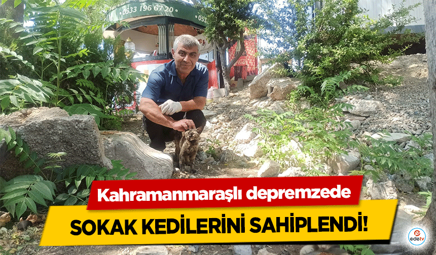 Kahramanmaraşlı depremzede sokak kedilerini sahiplendi!