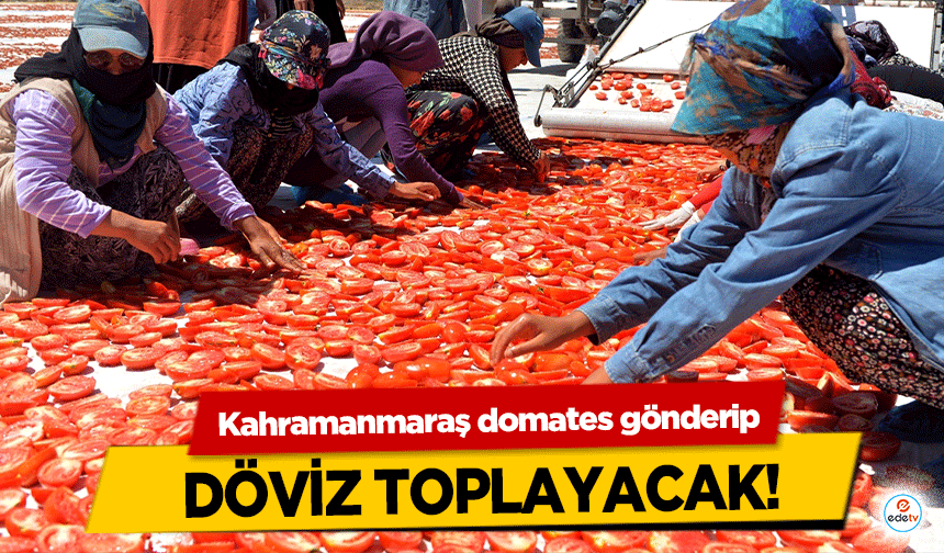 Kahramanmaraş domates gönderip döviz toplayacak!