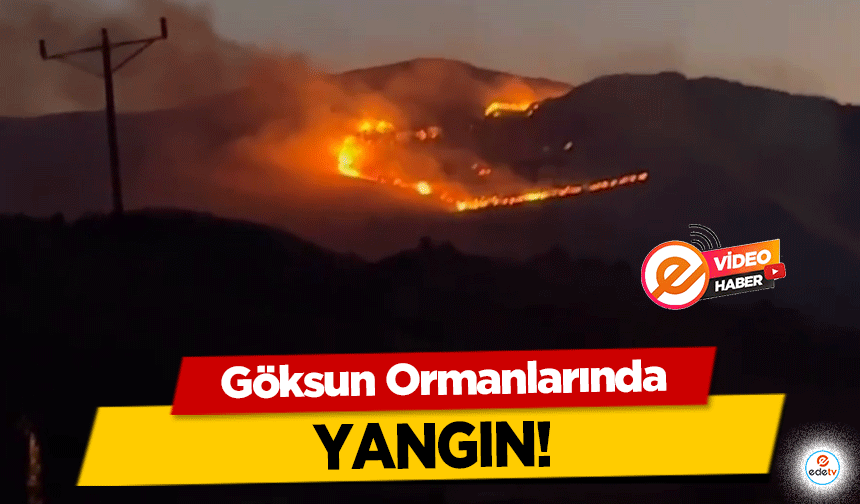 Göksun Ormanlarında yangın!