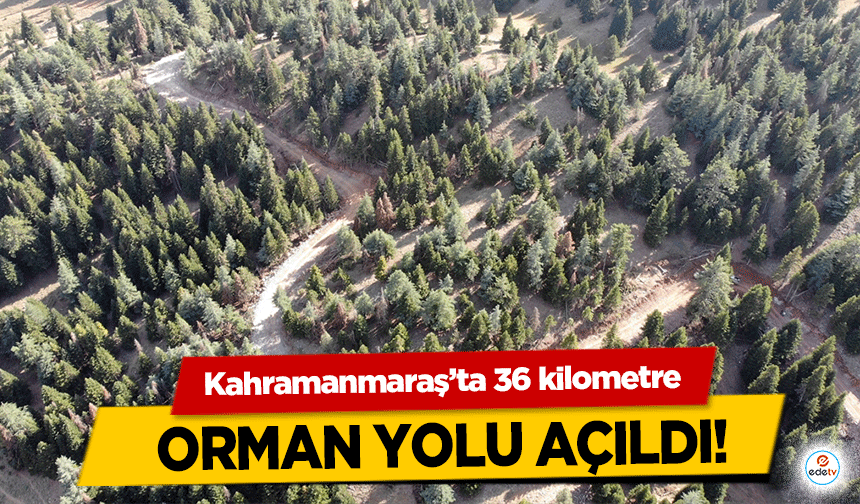 Kahramanmaraş’ta 36 kilometre orman yolu açıldı!