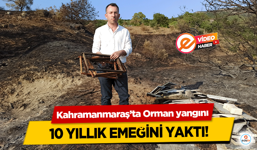 Kahramanmaraş’ta Orman yangını 10 yıllık emeğini yaktı!