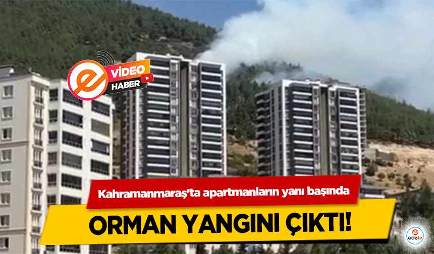 Kahramanmaraş'ta apartmanların yanı başında orman yangını çıktı!