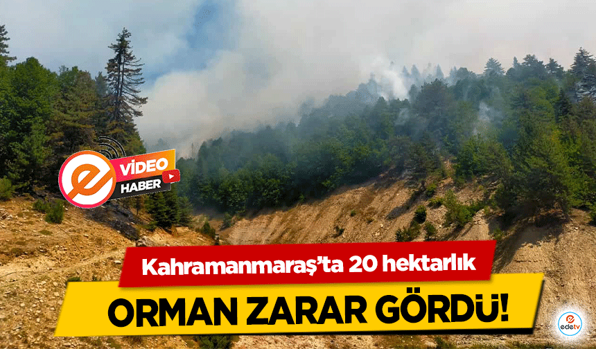 Kahramanmaraş’ta 20 hektarlık orman zarar gördü